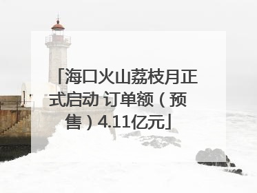 海口火山荔枝月正式启动 订单额（预售）4.11亿元