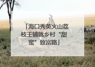 海口秀英火山荔枝王铺就乡村“甜蜜”致富路