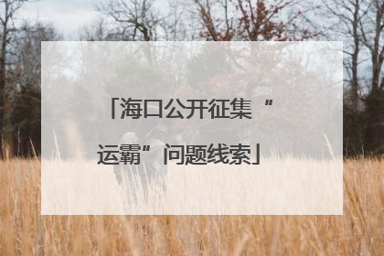 海口公开征集“运霸”问题线索
