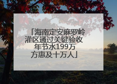 海南定安麻罗岭灌区通过关键验收 年节水199万方惠及十万人