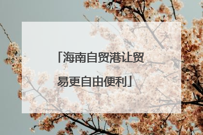 海南自贸港让贸易更自由便利