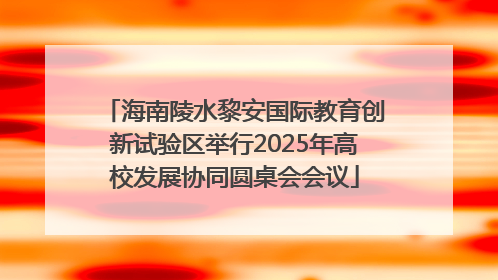海南陵水黎安国际教育创新试验区举行2025年高校发展协同圆桌会会议