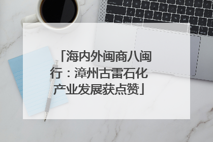 海内外闽商八闽行：漳州古雷石化产业发展获点赞