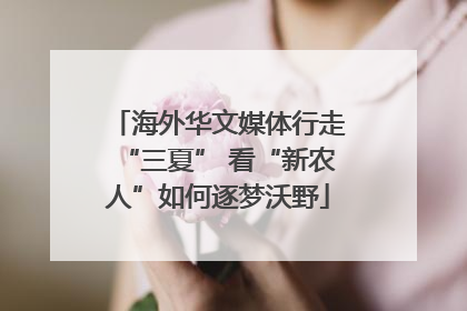 海外华文媒体行走“三夏” 看“新农人”如何逐梦沃野