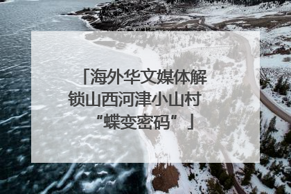 海外华文媒体解锁山西河津小山村“蝶变密码”