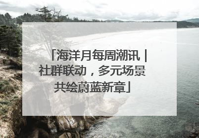 海洋月每周潮讯｜社群联动，多元场景共绘蔚蓝新章