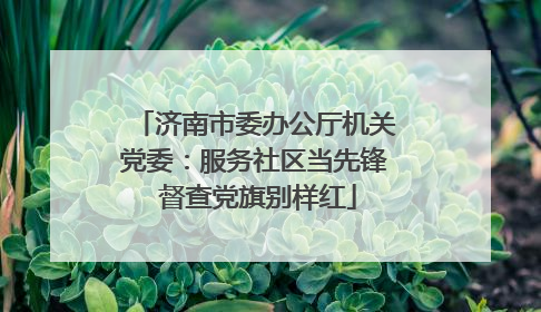 济南市委办公厅机关党委：服务社区当先锋 督查党旗别样红