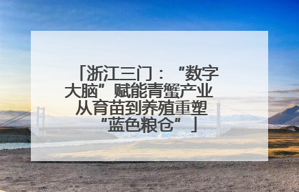 浙江三门：“数字大脑”赋能青蟹产业 从育苗到养殖重塑“蓝色粮仓”