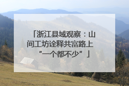 浙江县域观察：山间工坊诠释共富路上“一个都不少”
