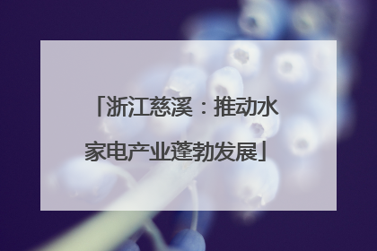 浙江慈溪：推动水家电产业蓬勃发展