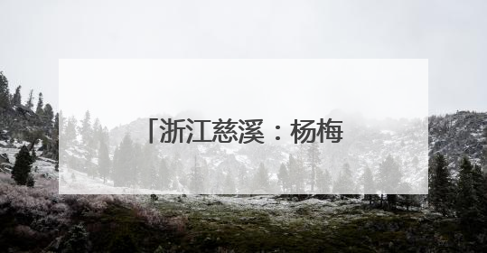 浙江慈溪：杨梅之乡开启丰收季