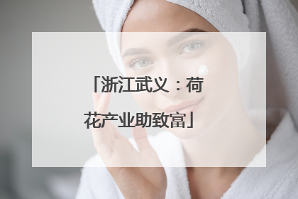 浙江武义：荷花产业助致富