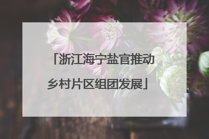浙江海宁盐官推动乡村片区组团发展