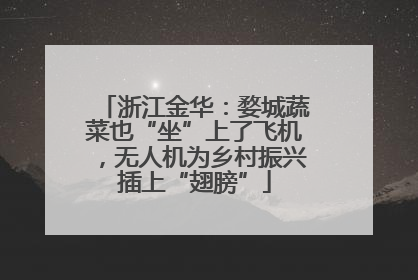 浙江金华:婺城蔬菜也“坐”上了飞机,无人机为乡村振兴插上“翅膀”