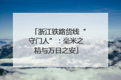 浙江铁路货线“守门人”：毫米之精与万日之安