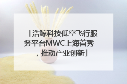 浩鲸科技低空飞行服务平台MWC上海首秀，推动产业创新