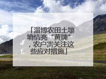 淄博农田土壤墒情亮“黄牌”，农户需关注这些应对措施