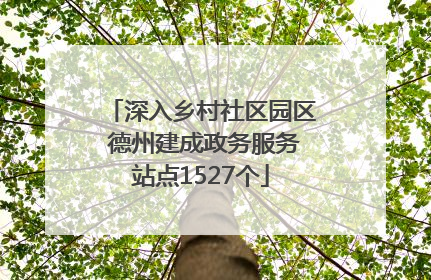 深入乡村社区园区 德州建成政务服务站点1527个
