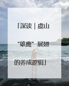 深读｜虞山“雄鹰”展翅的养成逻辑