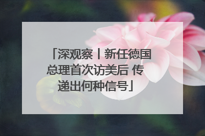深观察丨新任德国总理首次访美后 传递出何种信号