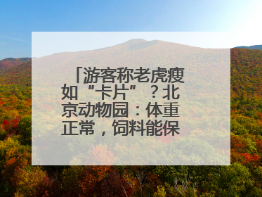 游客称老虎瘦如“卡片”？北京动物园：体重正常，饲料能保障营养需求