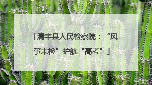 清丰县人民检察院：“风筝未检”护航“高考”