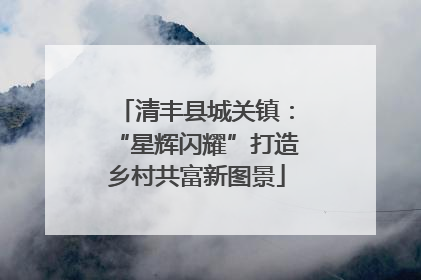 清丰县城关镇：“星辉闪耀”打造乡村共富新图景
