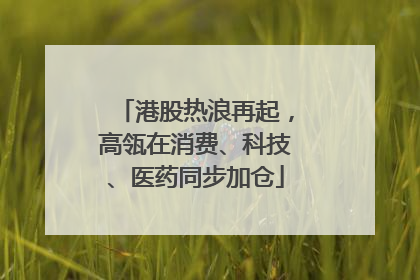 港股热浪再起，高瓴在消费、科技、医药同步加仓