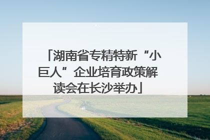 湖南省专精特新“小巨人”企业培育政策解读会在长沙举办