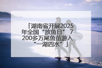 湖南省开展2025年全国“放鱼日” 7200多万尾鱼苗游入“一湖四水”