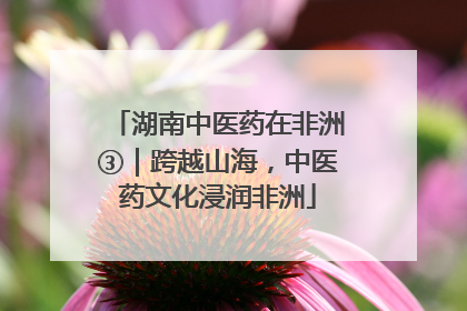湖南中医药在非洲③｜跨越山海，中医药文化浸润非洲
