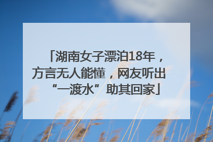 湖南女子漂泊18年，方言无人能懂，网友听出“一渡水”助其回家