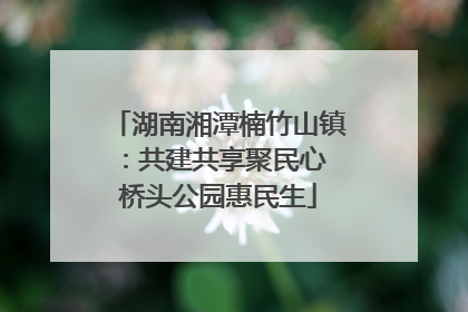 湖南湘潭楠竹山镇：共建共享聚民心 桥头公园惠民生