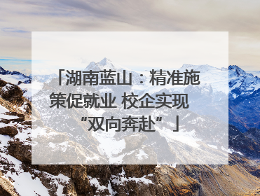 湖南蓝山：精准施策促就业 校企实现“双向奔赴”