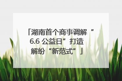 湖南首个商事调解“6.6 公益日”打造解纷“新范式”