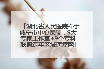 湖北省人民医院牵手咸宁市中心医院，9大专家工作室+9个专科联盟筑牢区域医疗网