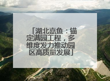 湖北嘉鱼：锚定满园工程，多维度发力推动园区高质量发展