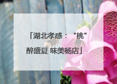 湖北孝感：“桃”醉盛夏 味美杨店