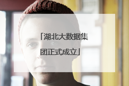 湖北大数据集团正式成立