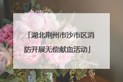 湖北荆州市沙市区消防开展无偿献血活动