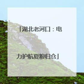 湖北老河口：电力护航夏粮归仓