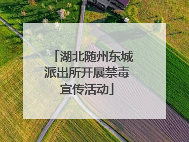 湖北随州东城派出所开展禁毒宣传活动