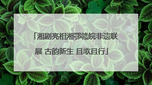 湘剧亮相湘鄂赣皖非遗联展 古韵新生 且歌且行