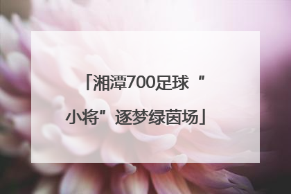 湘潭700足球“小将”逐梦绿茵场