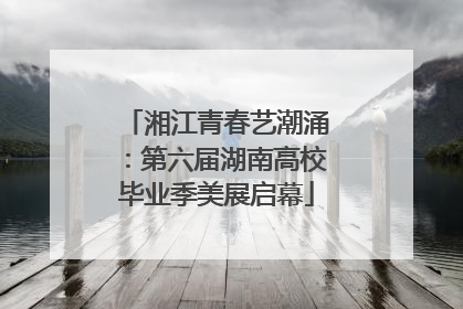 湘江青春艺潮涌：第六届湖南高校毕业季美展启幕