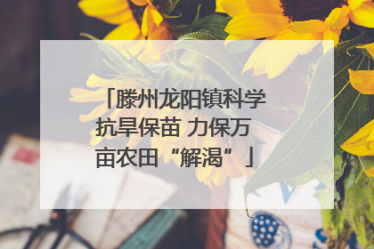 滕州龙阳镇科学抗旱保苗 力保万亩农田“解渴”