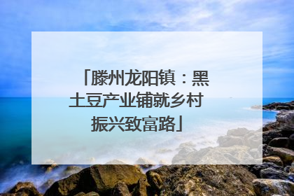 滕州龙阳镇：黑土豆产业铺就乡村振兴致富路