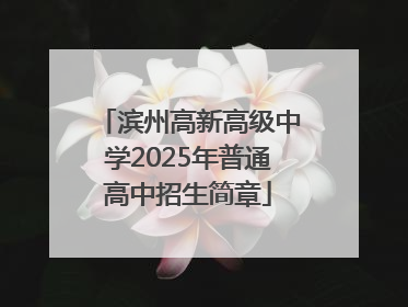 滨州高新高级中学2025年普通高中招生简章