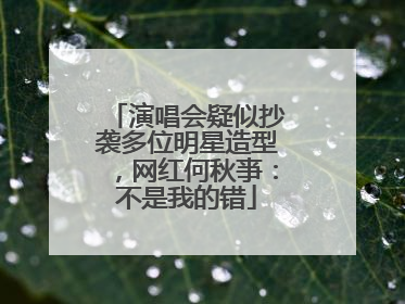 演唱会疑似抄袭多位明星造型，网红何秋亊：不是我的错