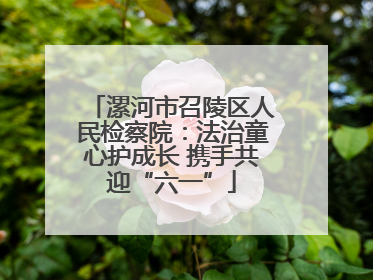 漯河市召陵区人民检察院：法治童心护成长 携手共迎“六一”
